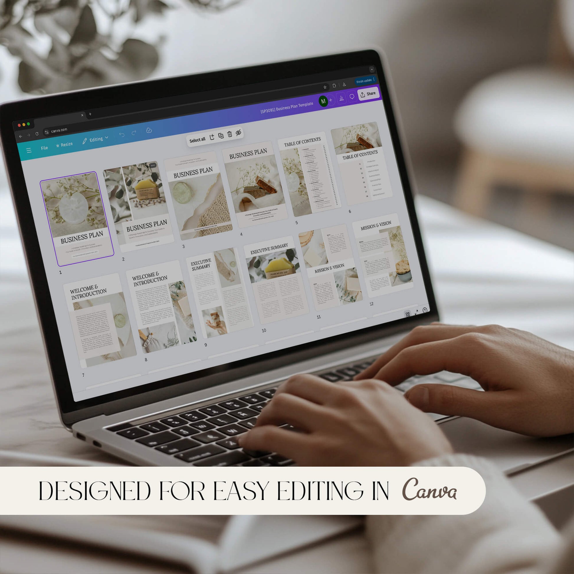 Business Plan Templates - PLR Bundle