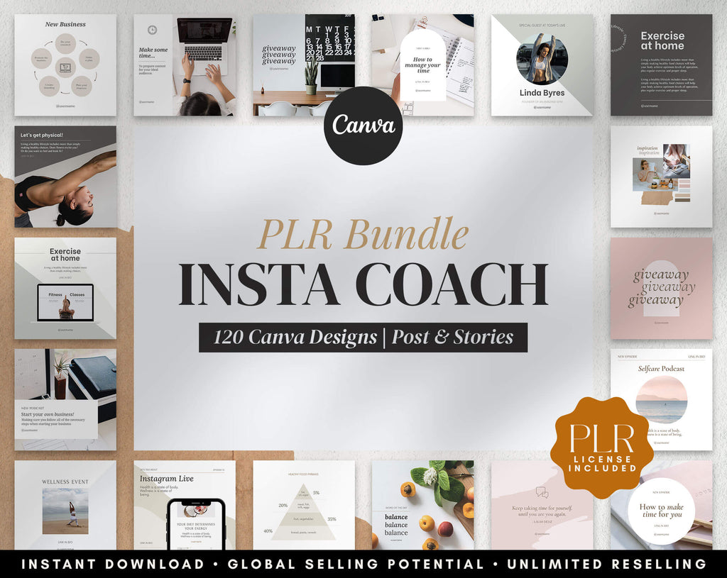 Insta Coach - PLR Bundle