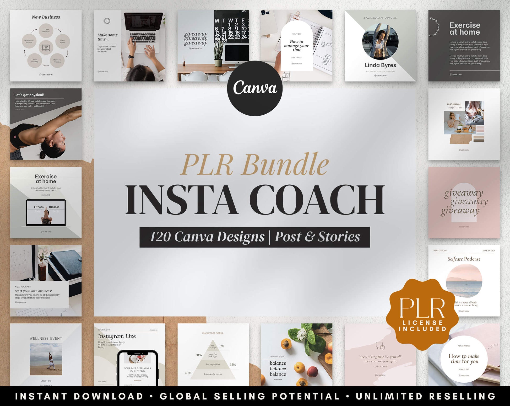 Insta Coach - PLR Bundle