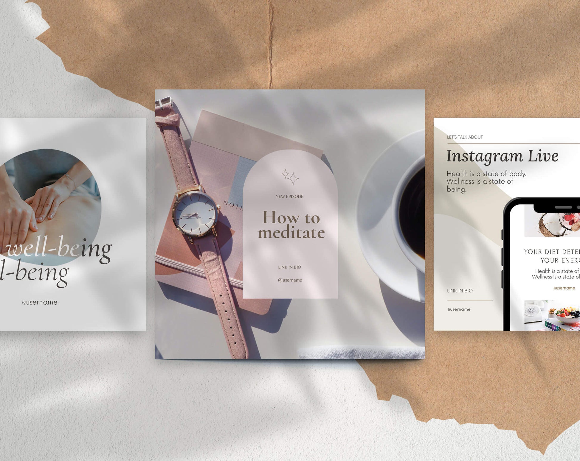 Insta Coach - PLR Bundle