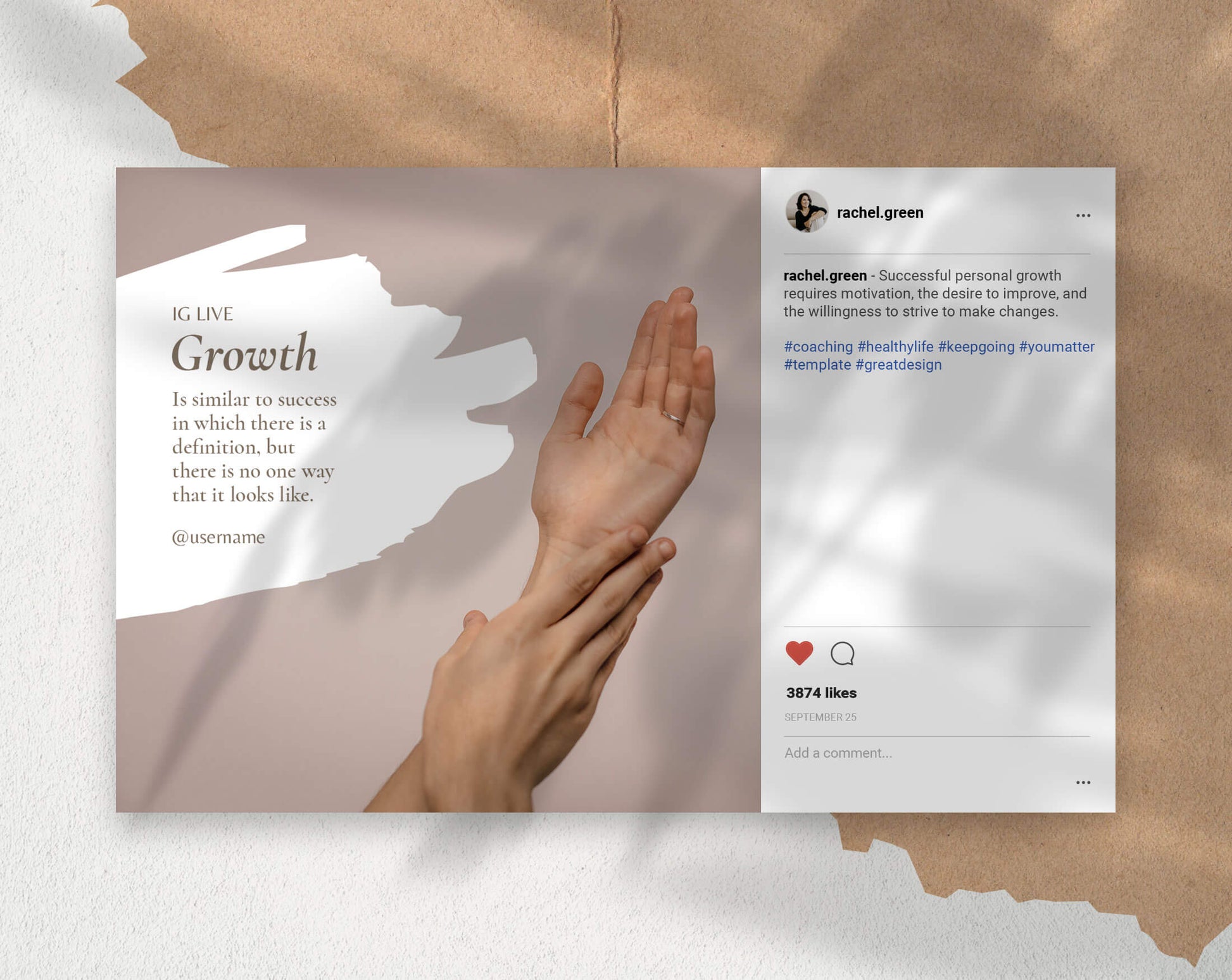 Insta Coach - PLR Bundle