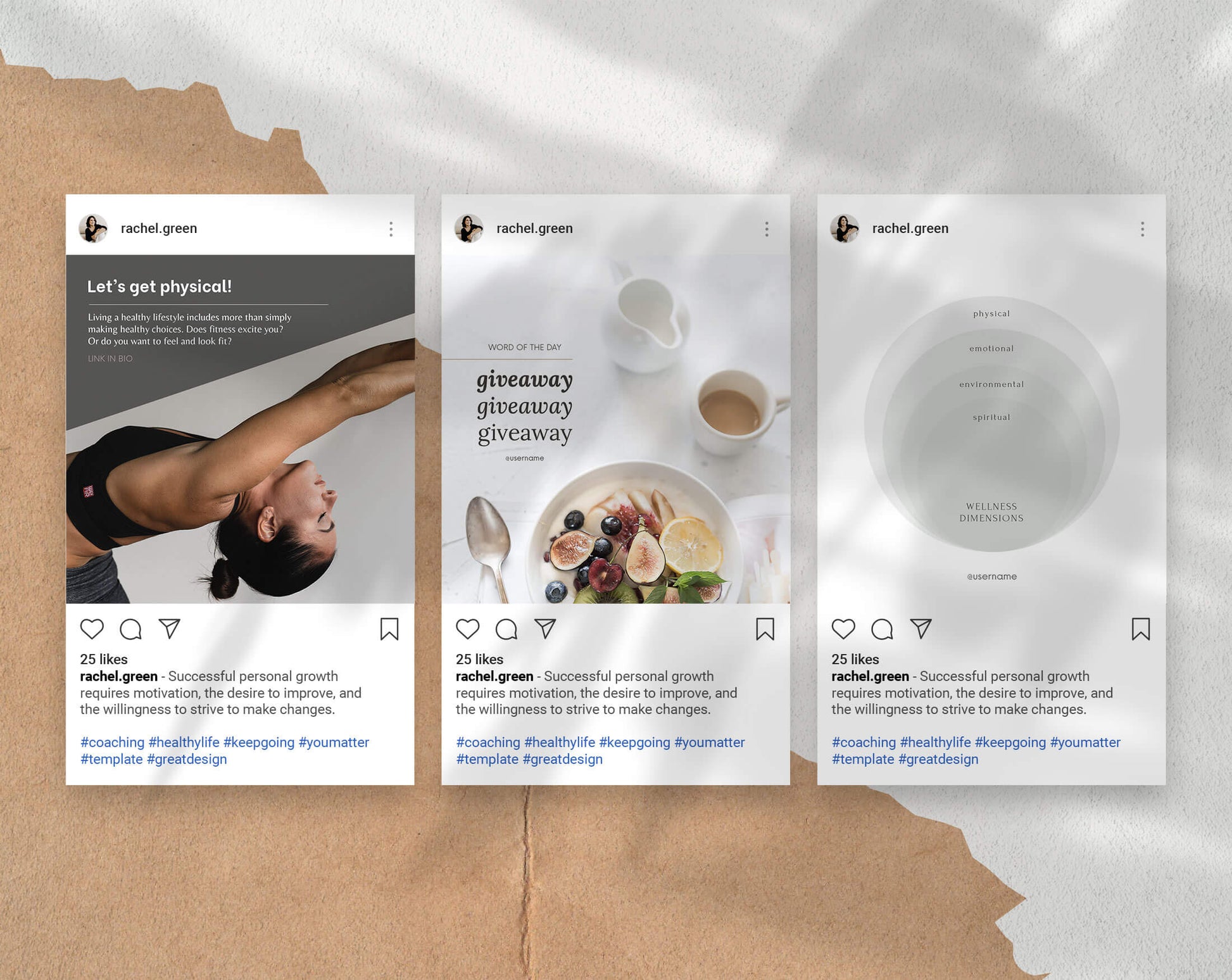 Insta Coach - PLR Bundle