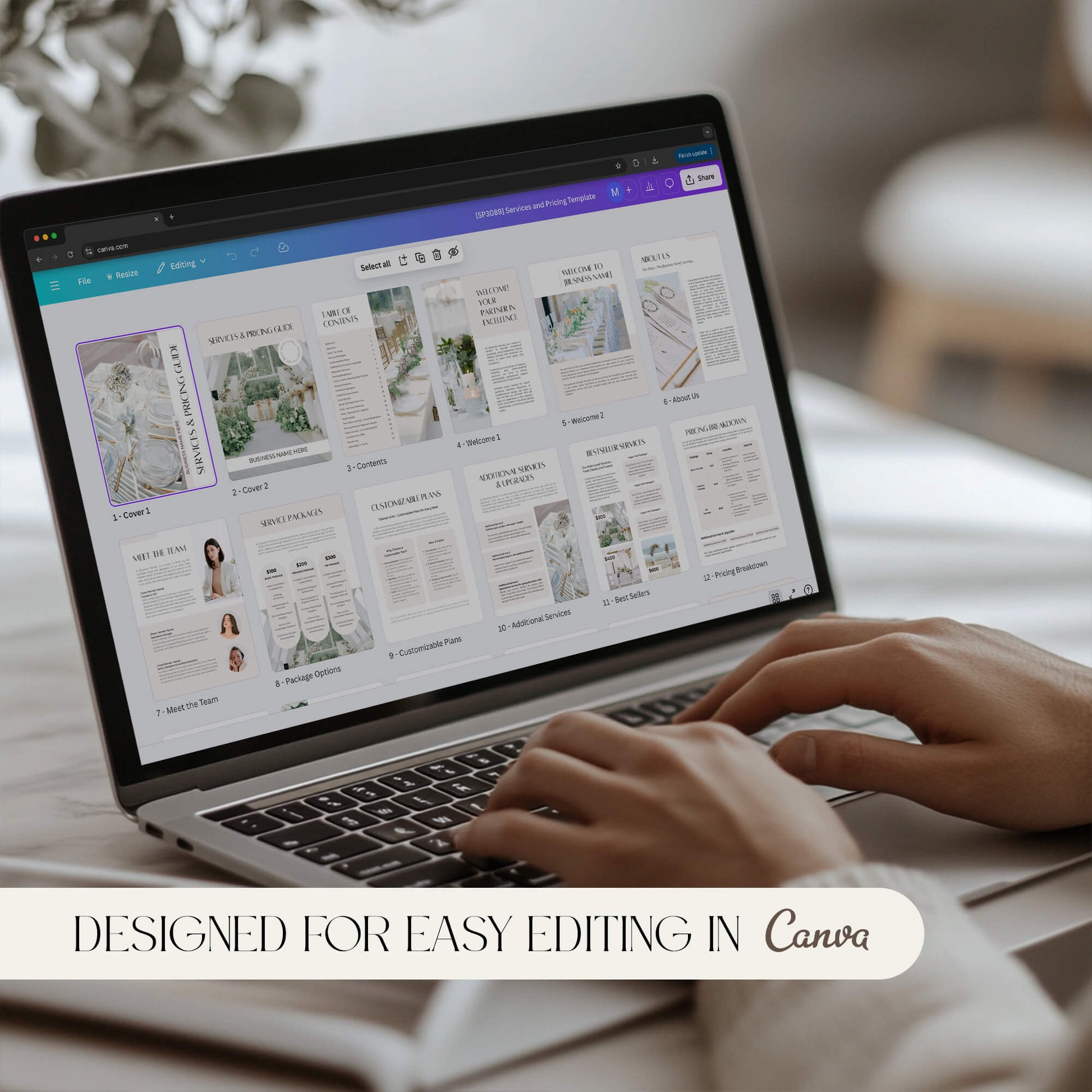 Services and Pricing - PLR Bundle